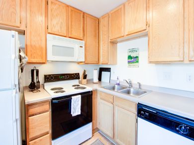 Breckenridge Condo 937450