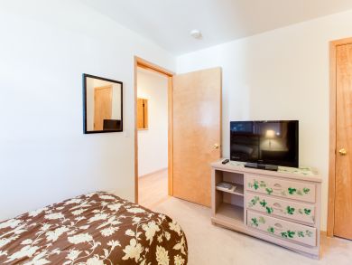 Breckenridge Condo 937450