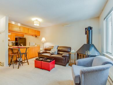 Breckenridge Condo 937454