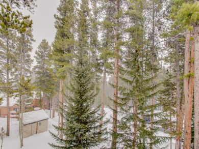 Breckenridge Condo 937454