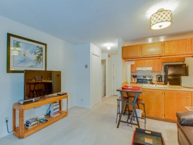 Breckenridge Condo 937454