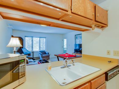 Breckenridge Condo 937454