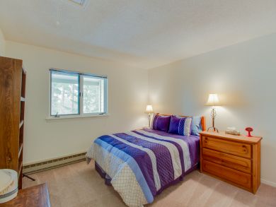 Breckenridge Condo 937454