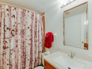 Breckenridge Condo 937454