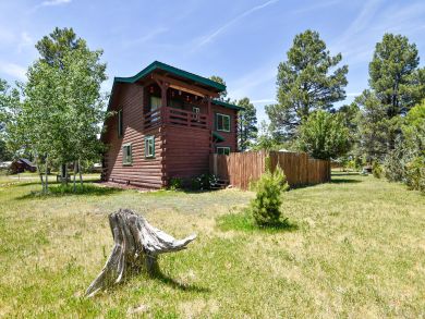 Telluride Home 937462