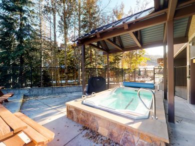 Breckenridge Condo 937466