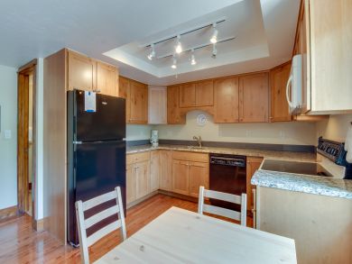 Breckenridge Condo 937469