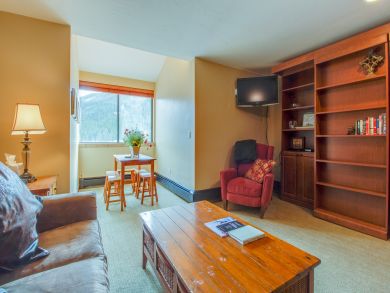 Breckenridge Condo 937474 Breckenridge Condo 937474