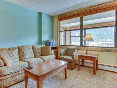 Breckenridge Condo 937485 Breckenridge Condo 937485