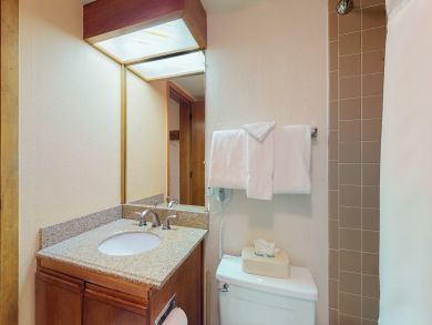 Breckenridge Condo 937487 Breckenridge Condo 937487