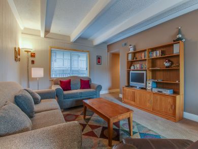 Breckenridge Condo 937489