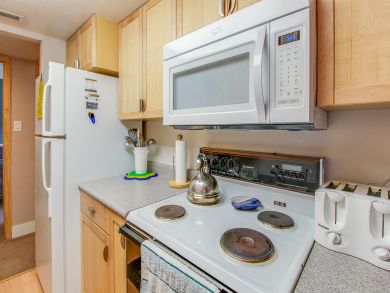 Breckenridge Condo 937489
