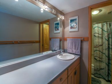 Breckenridge Condo 937489