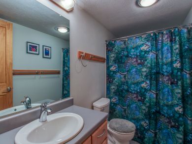 Breckenridge Condo 937489