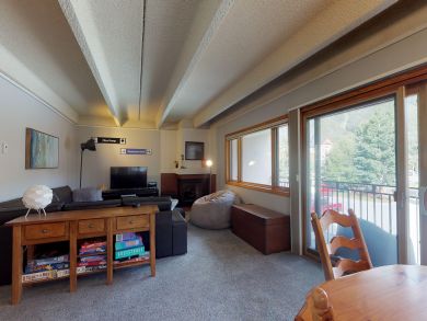 Breckenridge Condo 937496