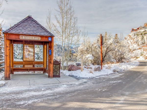 Vail Vacation Rental Condo - Ski-In Ski-Out Lodging Near Slopes & Village