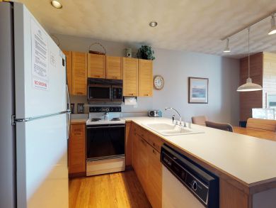 Breckenridge Condo 937504