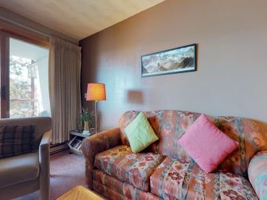 Breckenridge Condo 937504