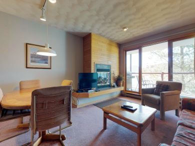 Breckenridge Condo 937504