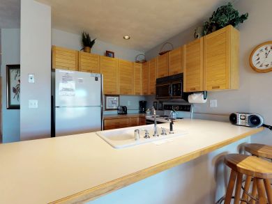 Breckenridge Condo 937504