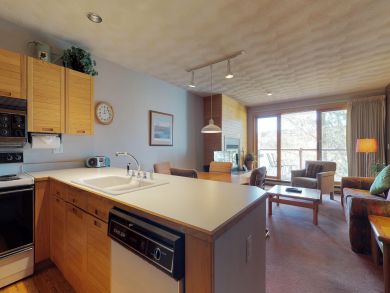 Breckenridge Condo 937504