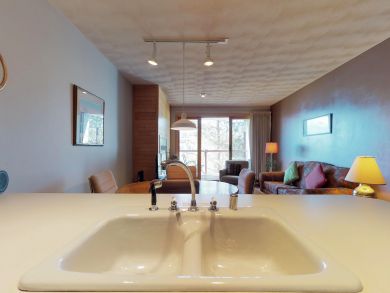 Breckenridge Condo 937504