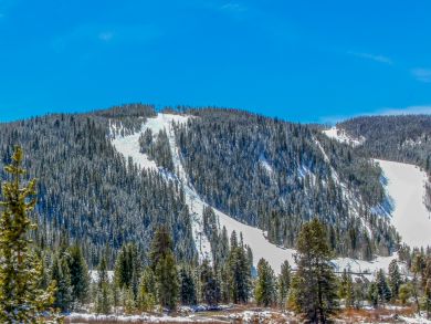 Breckenridge Condo 937507