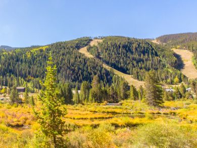 Breckenridge Condo 937507