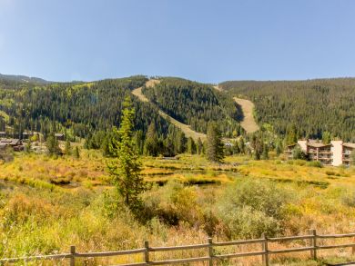 Breckenridge Condo 937507