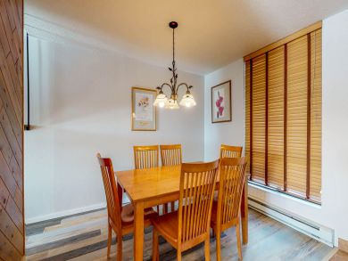 Breckenridge Condo 937508