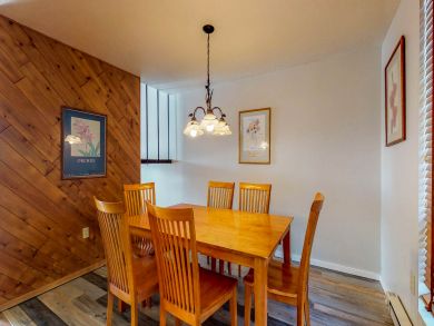 Breckenridge Condo 937508