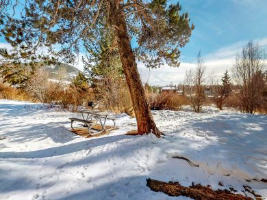 Breckenridge Condo 937508
