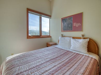 Breckenridge Condo 937509