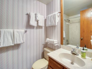 Breckenridge Condo 937509