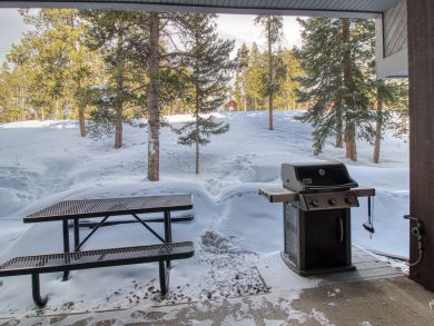 Breckenridge Condo 937509