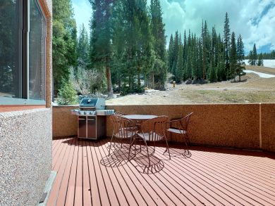 Breckenridge Condo 937510