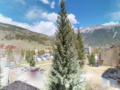 Breckenridge Condo 937510