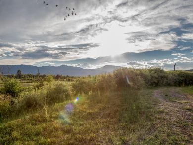 Snowmass Home 937511