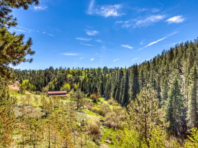 Four Bedroom Vacation Rental Home in Breckenridge