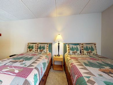 Breckenridge Condo 937514