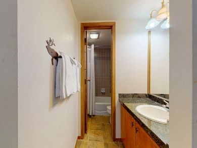 Breckenridge Condo 937514