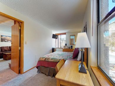 Breckenridge Condo 937518
