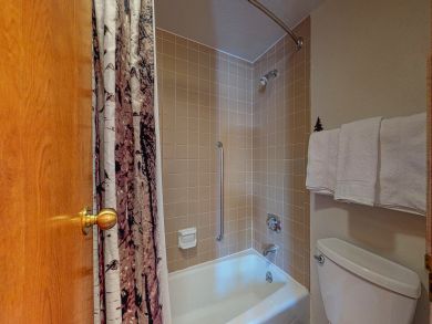 Breckenridge Condo 937518