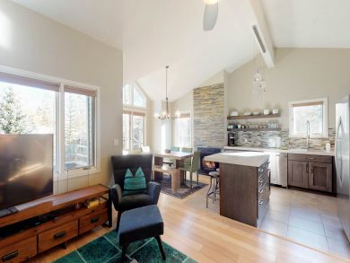 Aspen Condo 937522