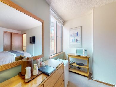 Breckenridge Condo 937526