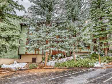 Steamboat Springs Condo 937527 Steamboat Springs Condo 937527