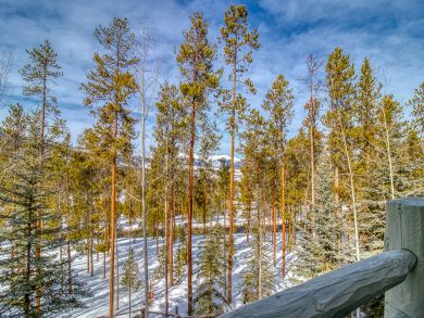 Breckenridge Home 937531