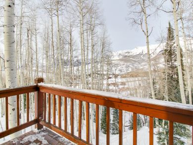 Telluride Home 937534