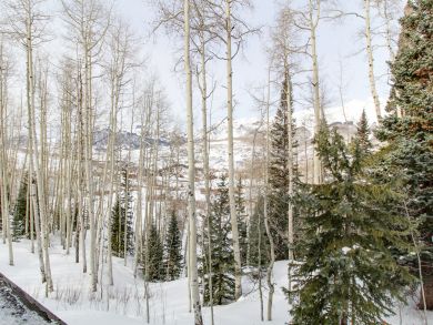 Telluride Home 937534