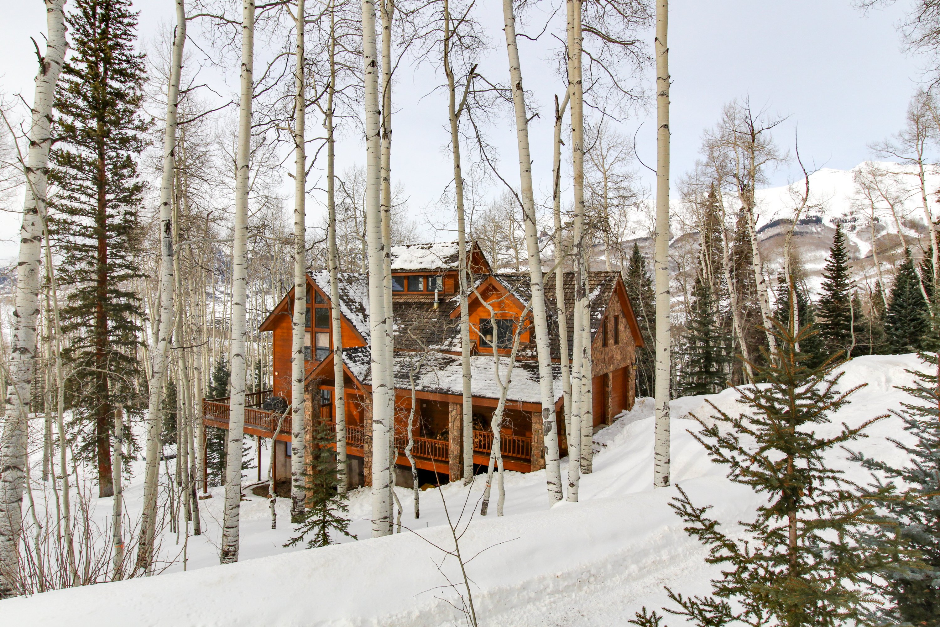 Telluride Home 937534